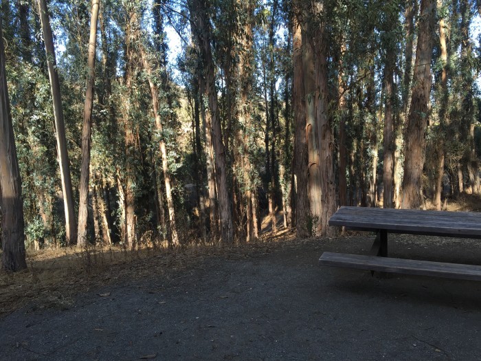 California California